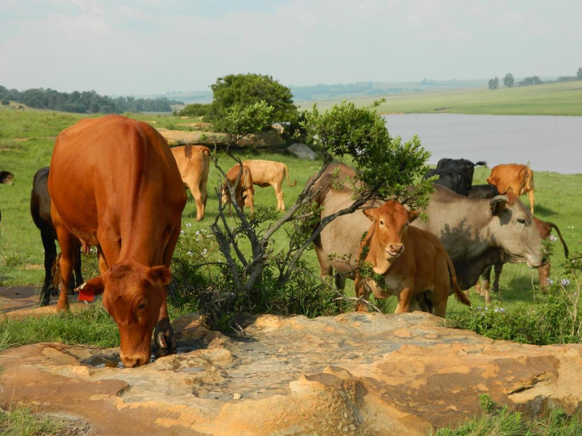 Green Thumb Farm Stay Ermelo Exterior foto